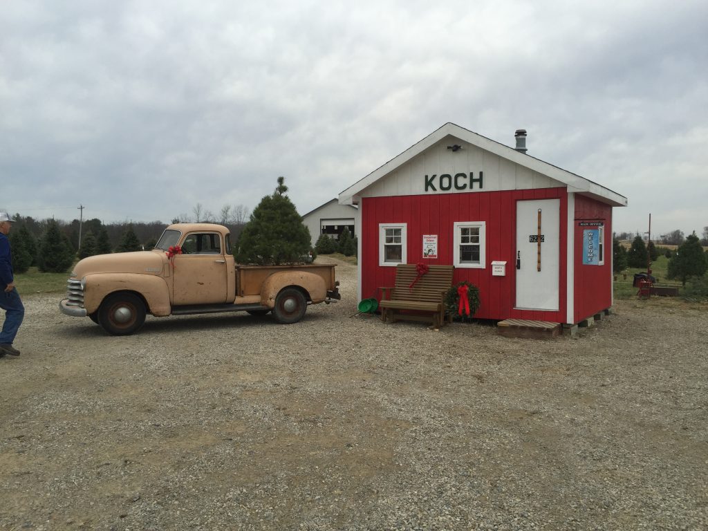 A vintage pickup carrying a Christmas tree beside the red Koch farm building